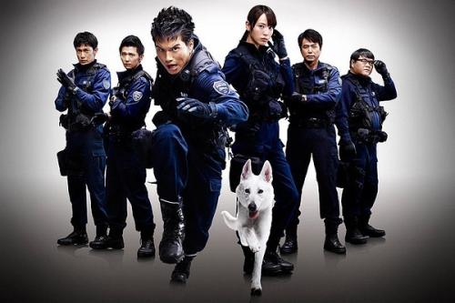 假中专学历在线制作
